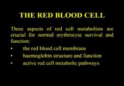 THE RED BLOOD CELL PowerPoint Presentation