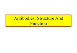 Antibodies-Structure and Function PowerPoint Presentation