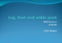 Foot and ankle joint PowerPoint Presentation