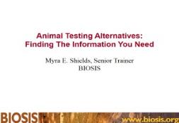 Animal Testing Alternatives PowerPoint Presentation