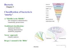 Introduction of Bacteria PowerPoint Presentation