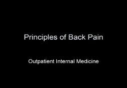 Principle of Back Pain PowerPoint Presentation