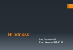 Blindness PowerPoint Presentation