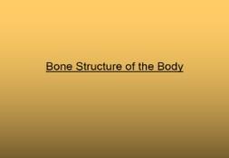 Bone Structure of the Body PowerPoint Presentation