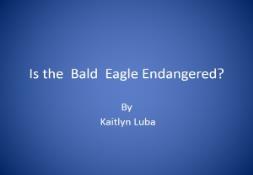 Is The Bald Eagle Endangered PowerPoint Presentation