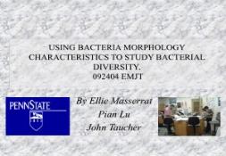 Bacteria Morphology PowerPoint Presentation