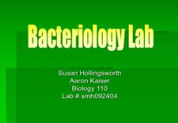 The Study of Bacteria PowerPoint Presentation