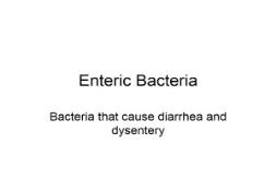 Enteric Bacteria PowerPoint Presentation