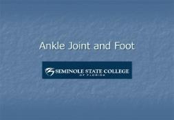 Ankle Joint and Foot PowerPoint Presentation