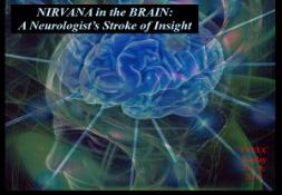 NIRVANA in the BRAIN PowerPoint Presentation