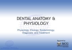 About Dental Anatomy and Physiology PowerPoint Presentation