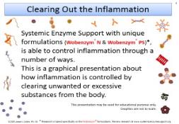 Clearing Out the Inflammation PowerPoint Presentation