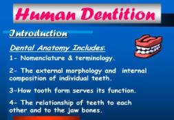 Dental Anatomy Introduction and Nomenclature PowerPoint Presentation