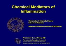 Chemical Mediators of Inflammation PowerPoint Presentation