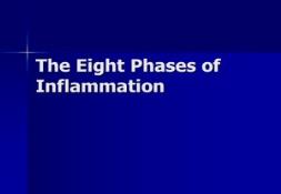 The Eight Phases of Inflammation PowerPoint Presentation