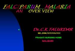 FALCIPARUM MALARIA PowerPoint Presentation