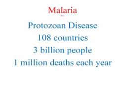 Malaria PowerPoint Presentation