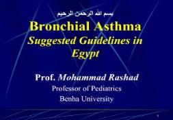 Asthma in Egypt 2007 PowerPoint Presentation