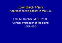 Overview of Low Back Pain PowerPoint Presentation