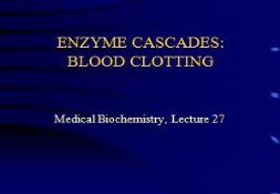 ENZYME CASCADES BLOOD CLOTTING PowerPoint Presentation