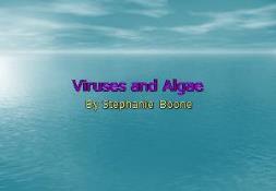 Viruses and Algae PowerPoint Presentation