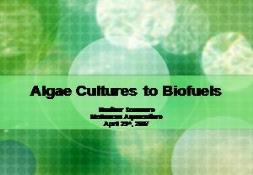 Algae Cultures to Biofuels PowerPoint Presentation