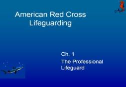 The Professional Lifeguard PowerPoint Presentation