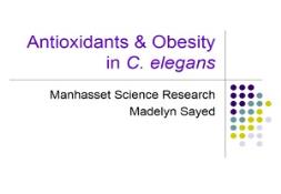 Antioxidants Diabetes Obesity PowerPoint Presentation