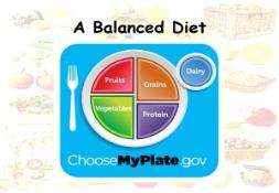 A Balanced Diet klakulakbiology PowerPoint Presentation