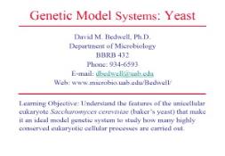 Genetic Model Systems Yeast  PowerPoint Presentation