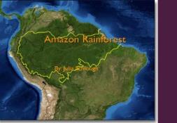 A Amazon Rainforest PowerPoint Presentation