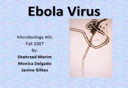 Ebola Virus California State University PowerPoint Presentation