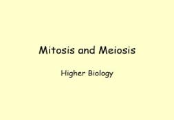 Mitosis and Meiosis PowerPoint Presentation