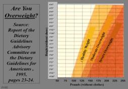 Overview of Obesity Today PowerPoint Presentation