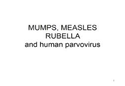 MUMPS MEASLES AND RUBELLA PowerPoint Presentation