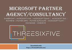 Microsoft Partner Agency-Consultancy Powerpoint Presentation