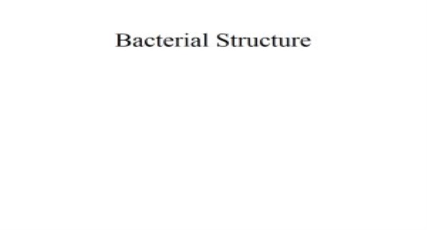 Free Download Bacterial Structure PowerPoint Presentation Slides