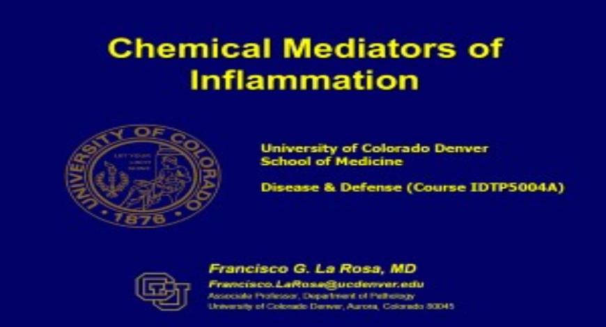 free-download-chemical-mediators-of-inflammation-powerpoint