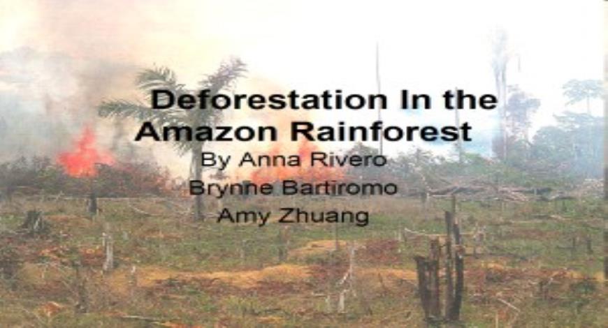 Free Download About Deforestation In the Amazon Rainforest