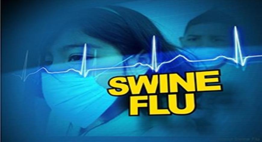 Free Download Influenza H1N1 (Swine Flu ) PowerPoint Presentation