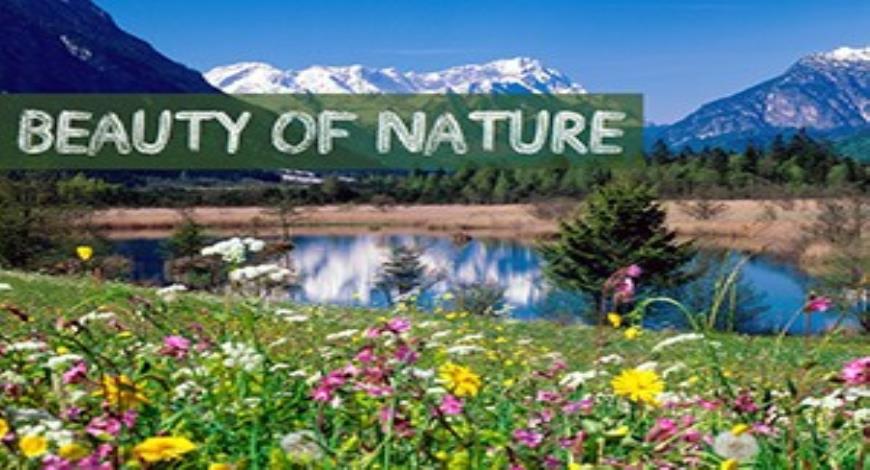 Free Download Nature Beauty PPT (PowerPoint) Presentation