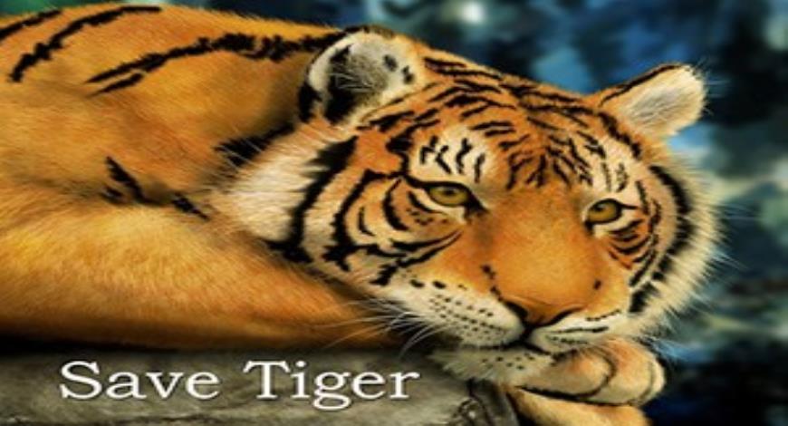 Free Download Save Tiger Save Earth PowerPoint (PPT