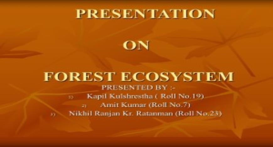 Free Download Forest Ecosystem Powerpoint Presentation