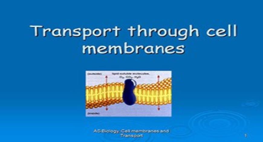 Free Download Cell Membrane Transport PowerPoint Presentation Slides ...