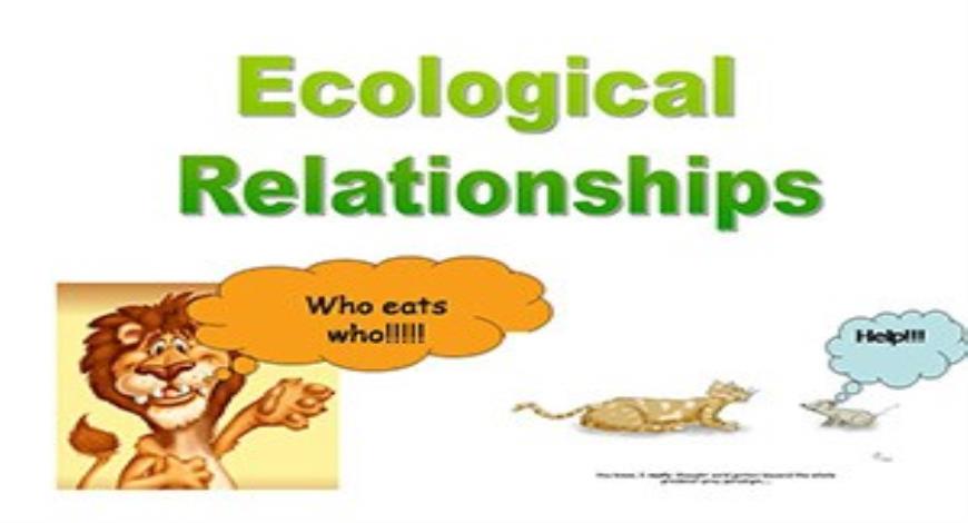 Free Download Ecological Relationships PowerPoint