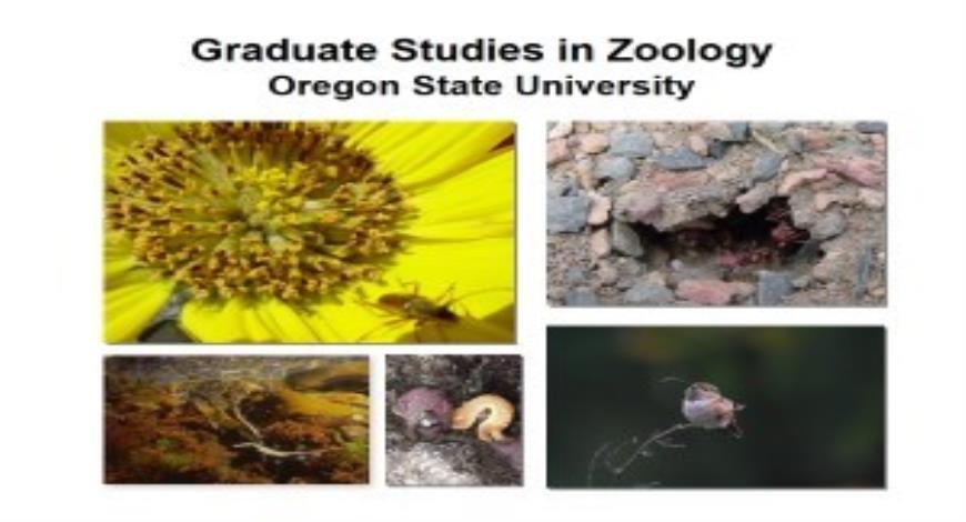 free-download-graduate-studies-in-zoology-department-of-zoology